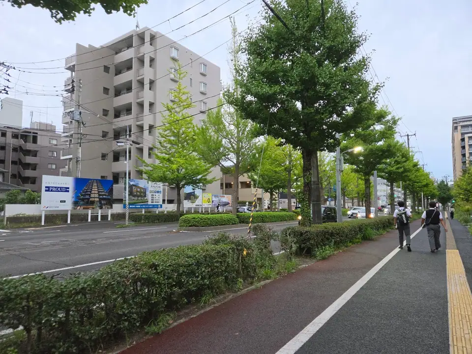 A street in the Aoba ward of northern Sendai, Sendai, Miyagi